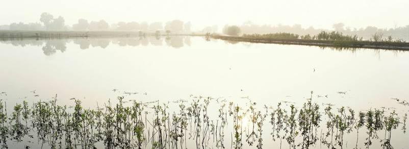 单反数码摄影入门教程,数码单反摄影进阶完全教程