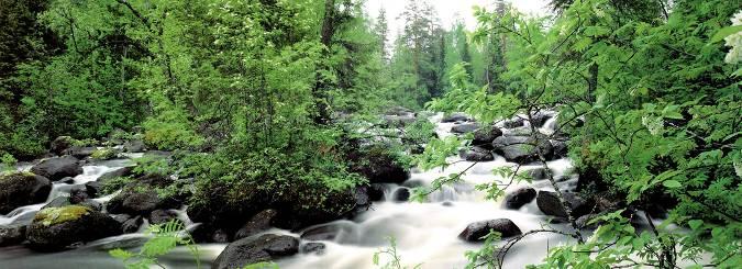 单反数码摄影入门教程,数码单反摄影进阶完全教程