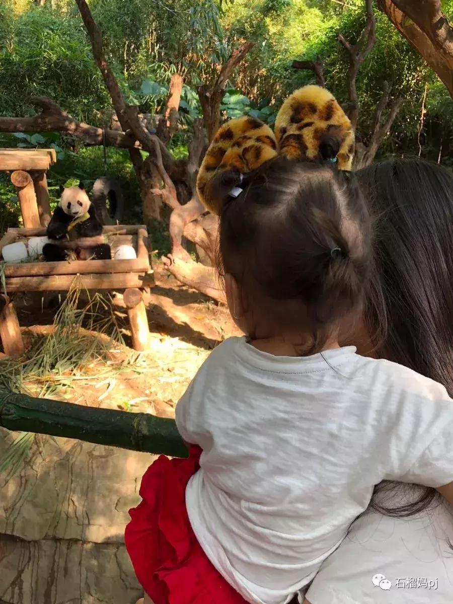 长隆欢乐世界和长隆野生动物园,广州长隆野生动物园侏罗纪公园