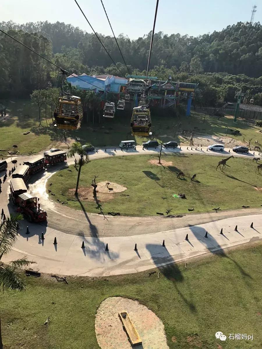 长隆欢乐世界和长隆野生动物园,广州长隆野生动物园侏罗纪公园