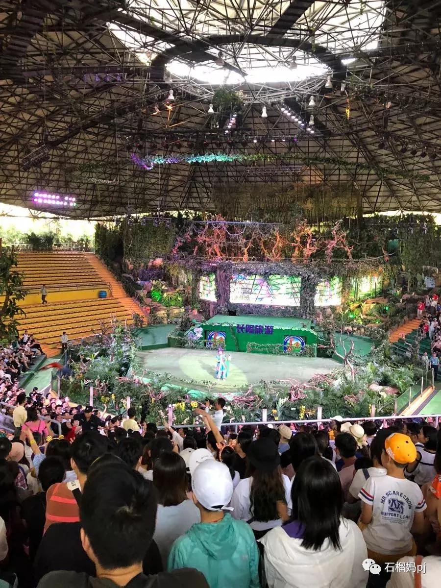 长隆欢乐世界和长隆野生动物园,广州长隆野生动物园侏罗纪公园