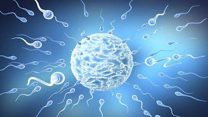 男女同房后，那些没成功进入“子宫”的精子去哪了？看完就明白了