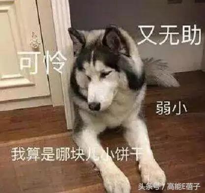 女明星可怕的造型,一周女明星时尚造型盘点