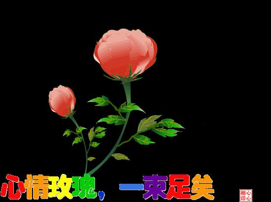 重阳节对爱人的祝福短信,您有一条温馨提示请查收