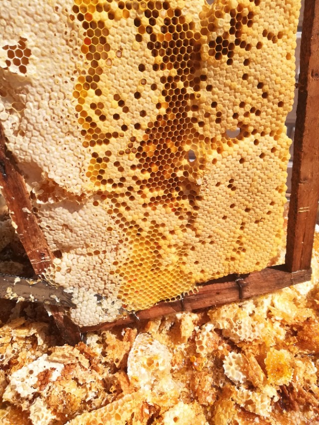 很多人都不相信市面上有真蜂蜜,纯天然蜂蜜养蜂