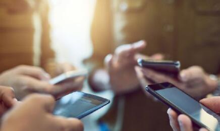 粉色花海被踩踏,花海遭践踏