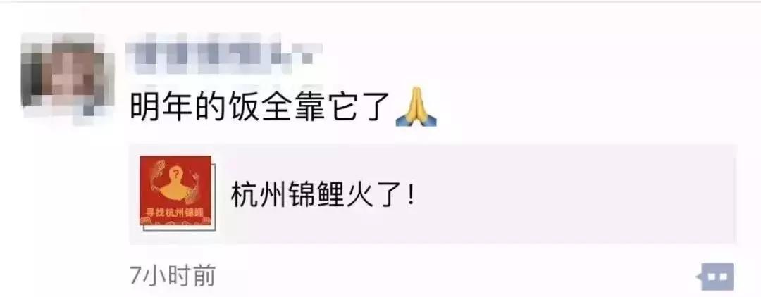 18年的锦鲤活动有哪些,锦鲤的活动在哪里