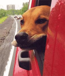 网优的日常,网优科普知识