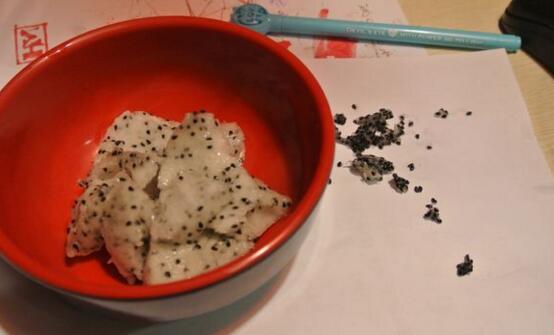 火龙果种子小盆栽怎么养护,火龙果种子放水里泡