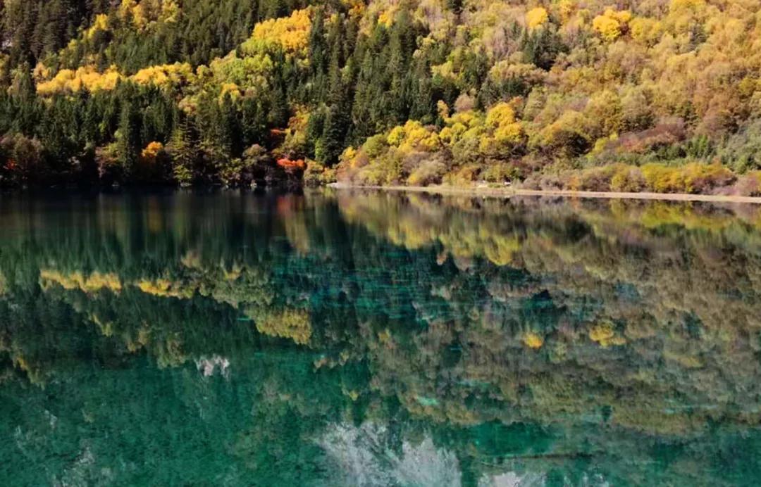 秋天的九寨风景区,秋天的九寨沟风景区山水视频
