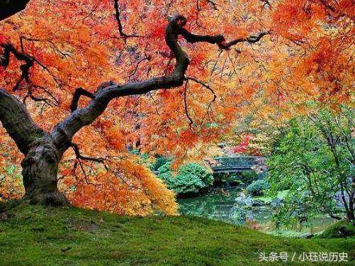 色不迷人人自迷是褒义吗,色不迷人人自迷下一句