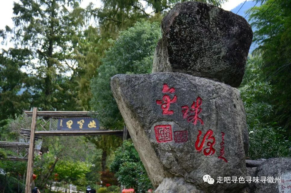 竹海扬波，溪山飞瀑｜心花开放在幽篁里