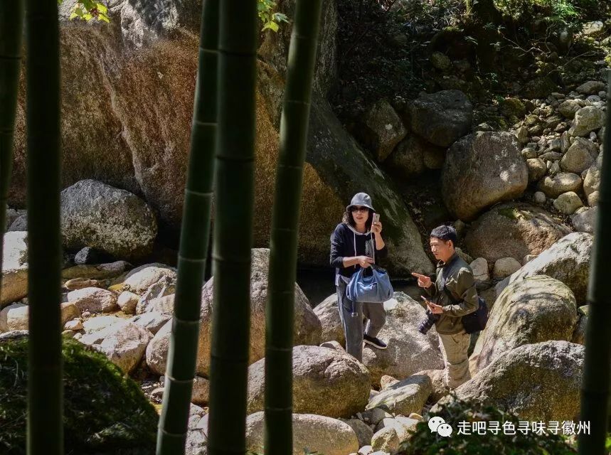 竹海扬波，溪山飞瀑｜心花开放在幽篁里