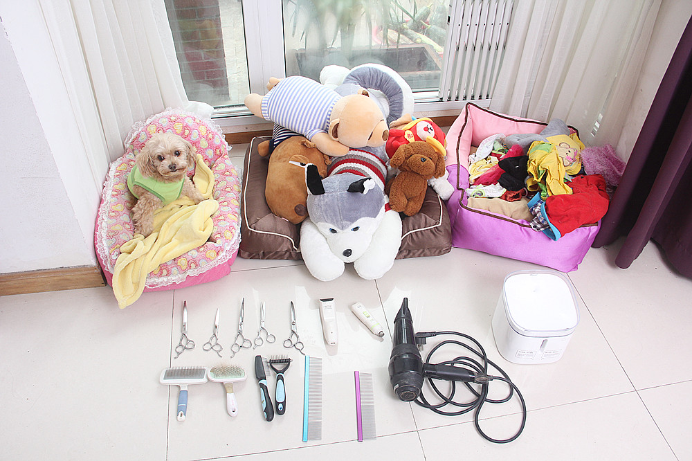 宠物饮水机大容量猫咪自动喂水器,宠物猫咪饮水机推荐