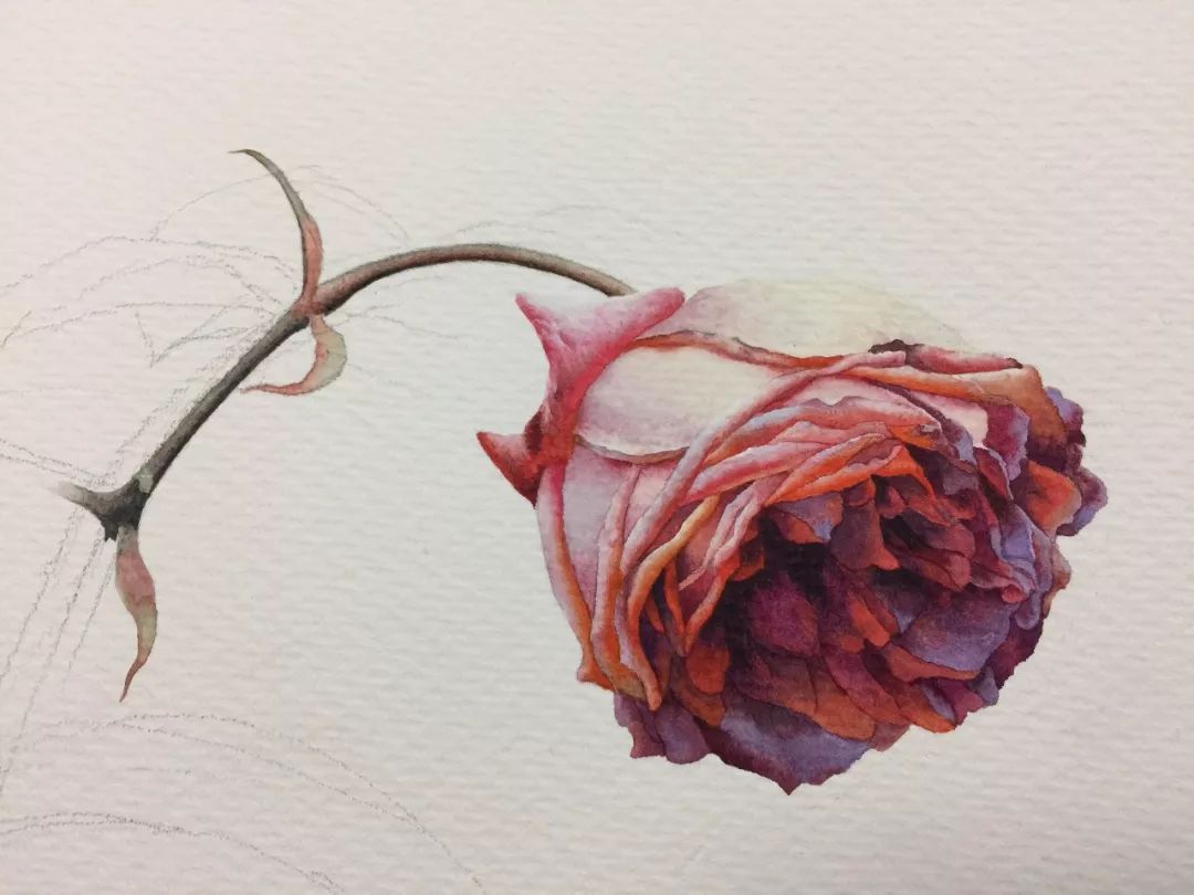 情人节用丙烯画画,情人节教我们画玫瑰