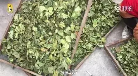 农村大集上的稀罕物120元一斤,农村3元一斤稀罕物