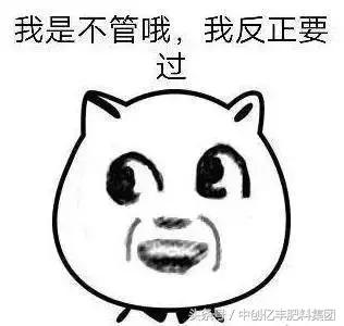 九九重阳节的古诗,九九重阳节浓浓敬老情