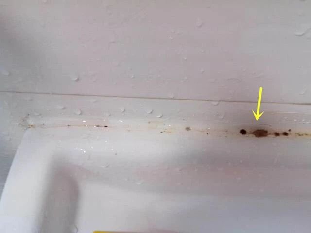 哪种玻璃胶防水不发霉,卫生间用什么玻璃胶不发霉