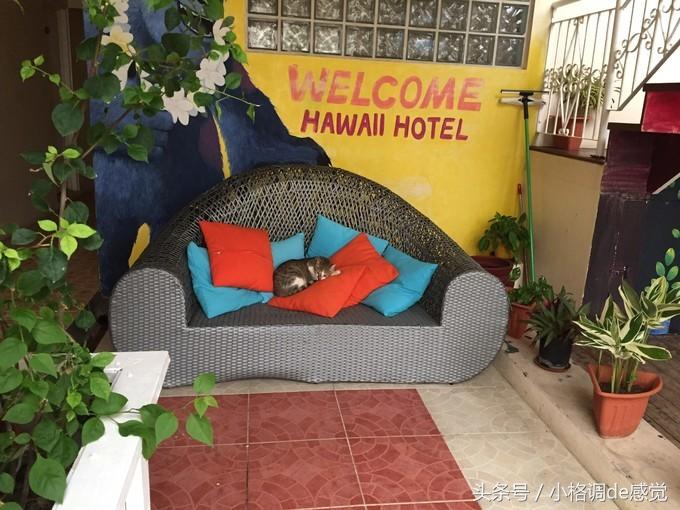 塞班岛自由行全攻略,带你上天下海游遍全球不是梦