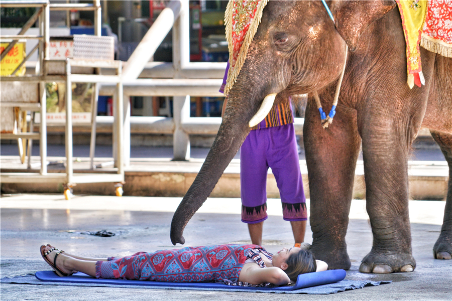 秀丽神奇的西双版纳完整版,云南西双版纳神奇的地方