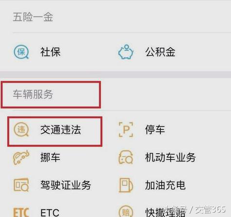 违章最快查询微信小程序,济南市车辆违章查询微信公众号