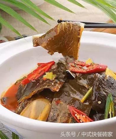 甲鱼特色菜品,每日菜品八道甲鱼做法大全