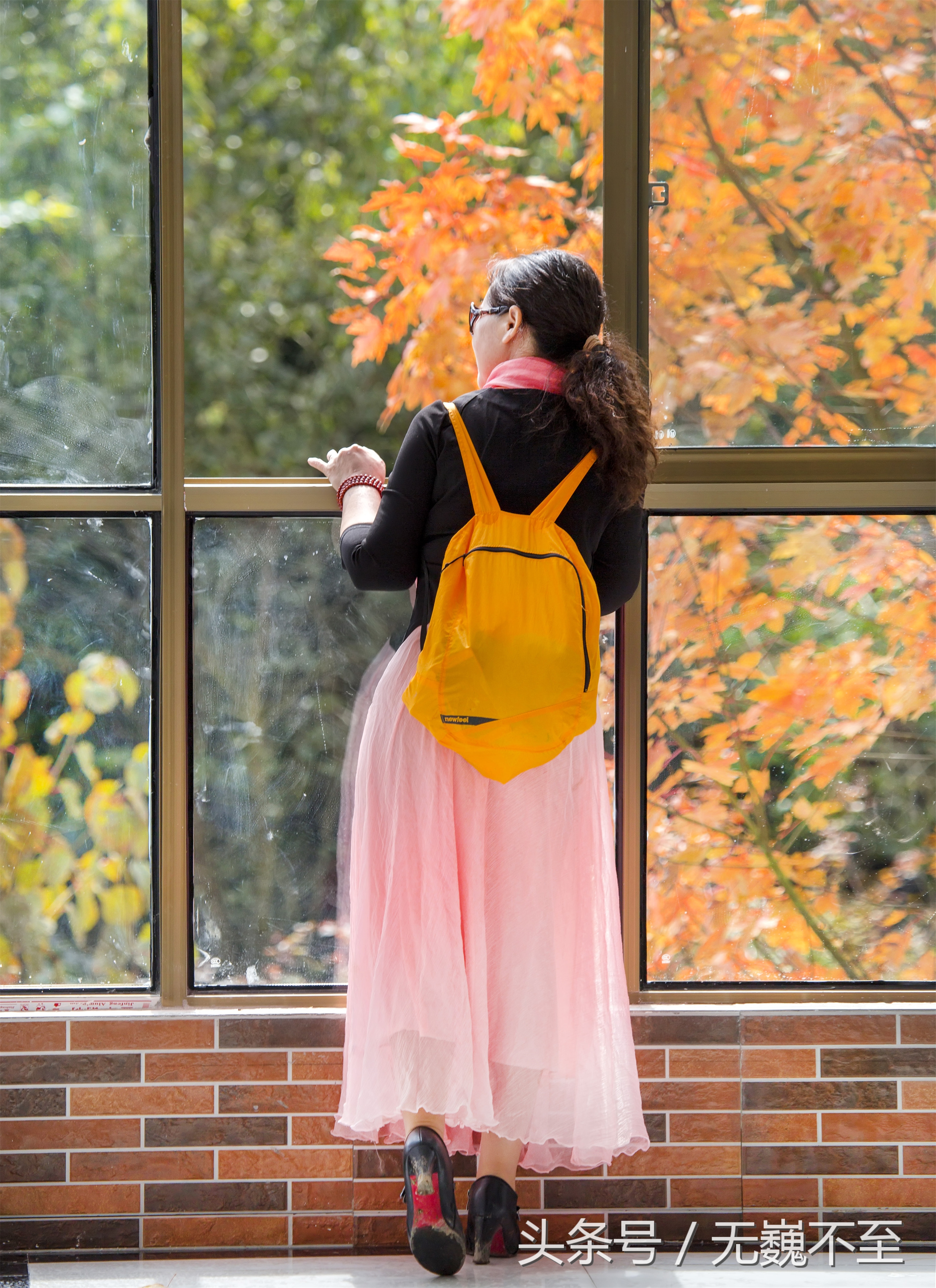 谁言不解“枫”情？金秋观红叶独爱川西红枫岭