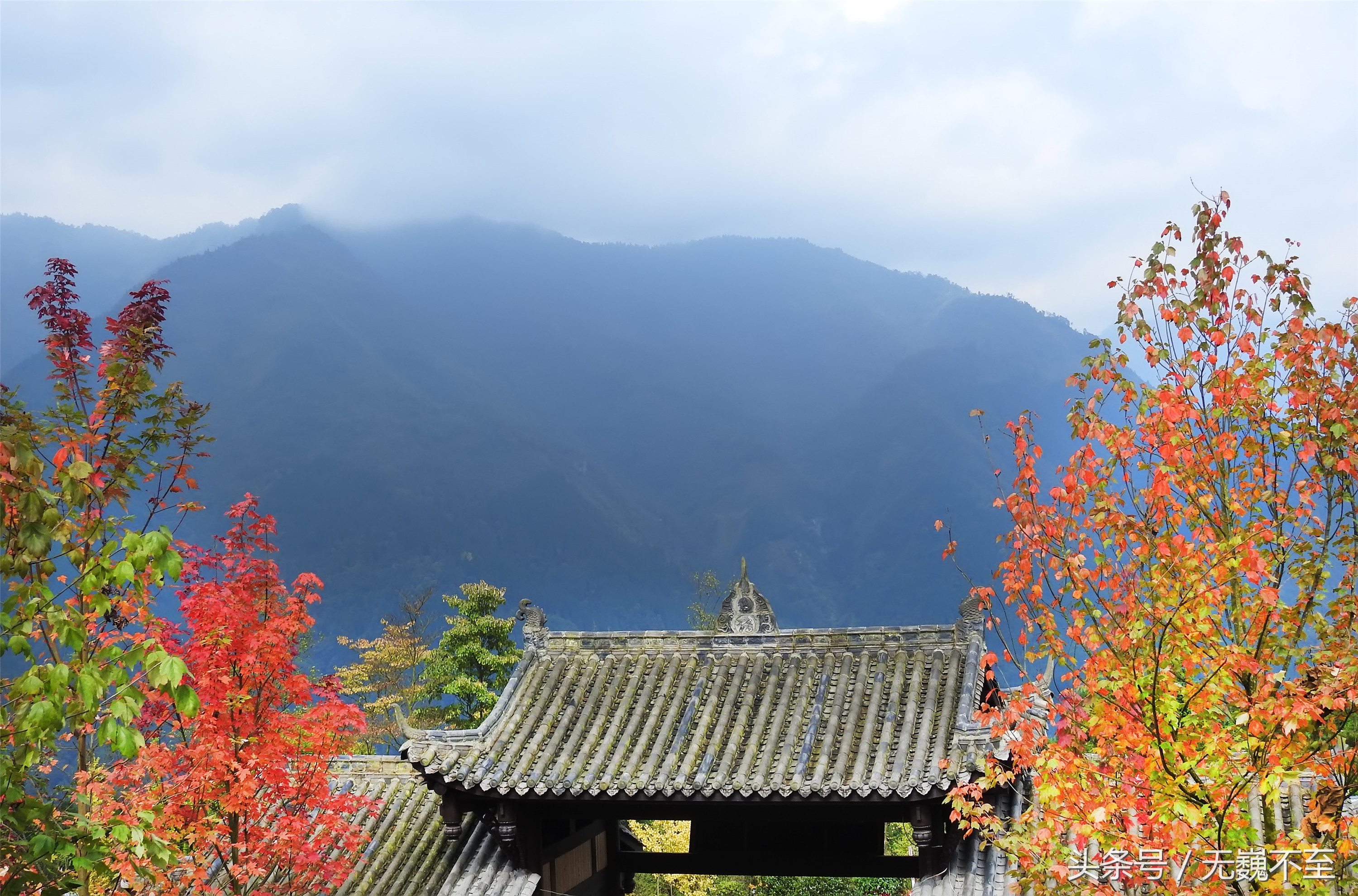 川西红枫岭赏红叶美景,成都红枫岭