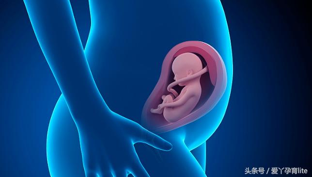 准妈妈孕十月养胎攻略