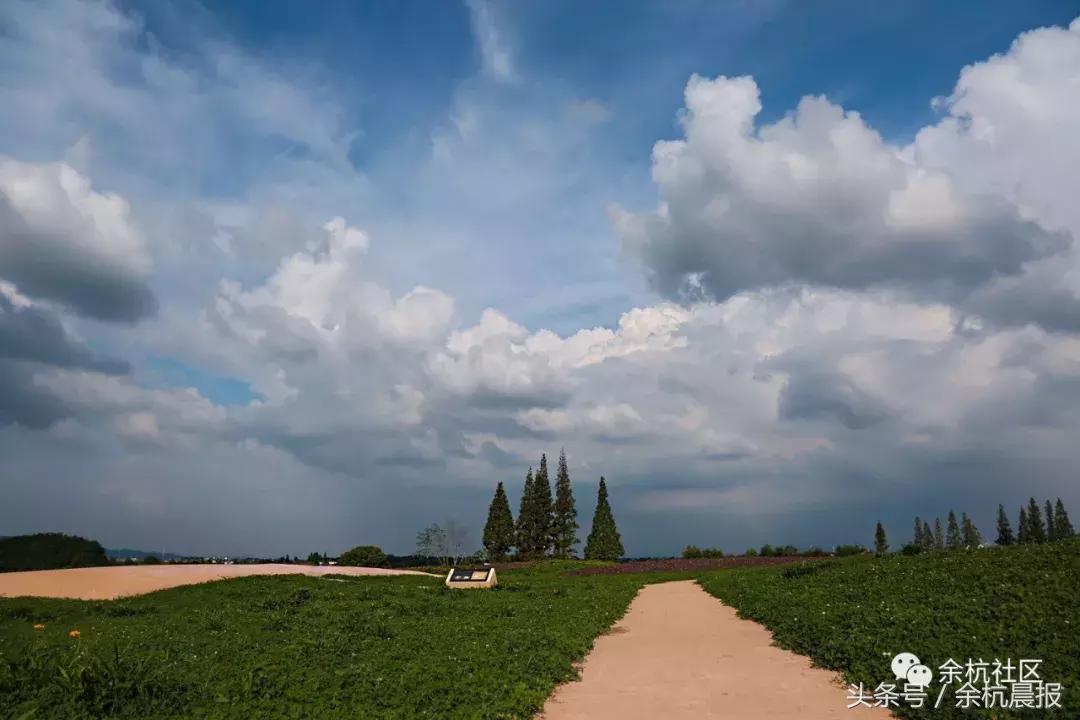 9090000㎡！余杭新增一大型公园，1299个足球场大！