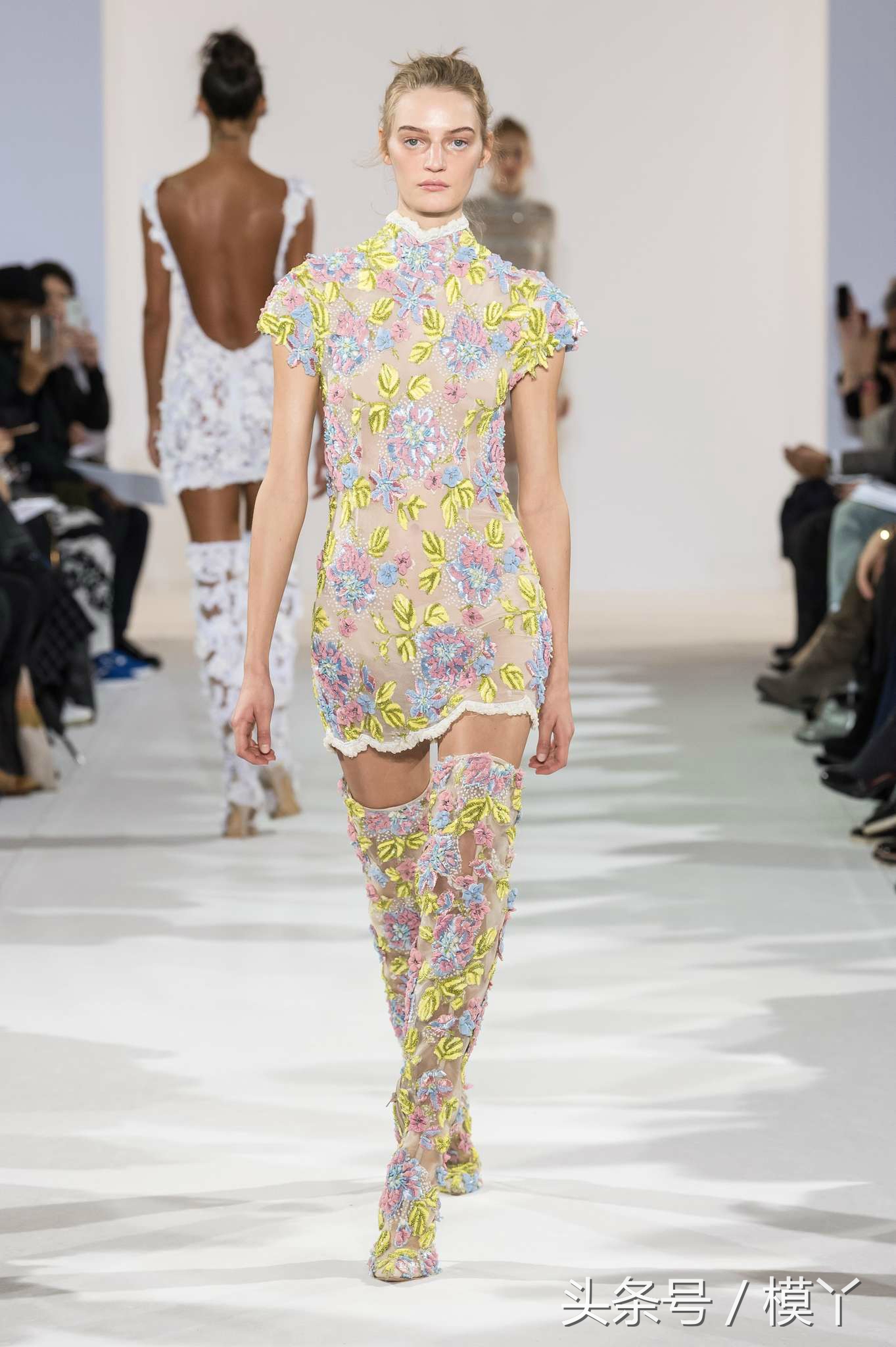 celiakritharioti楂樺畾,celiakritharioti濠氱罕