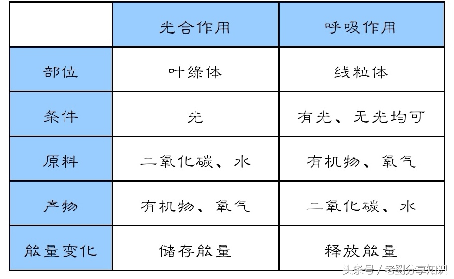七年级生物上册北师大版知识清单,七年级上册冀少版生物所有知识