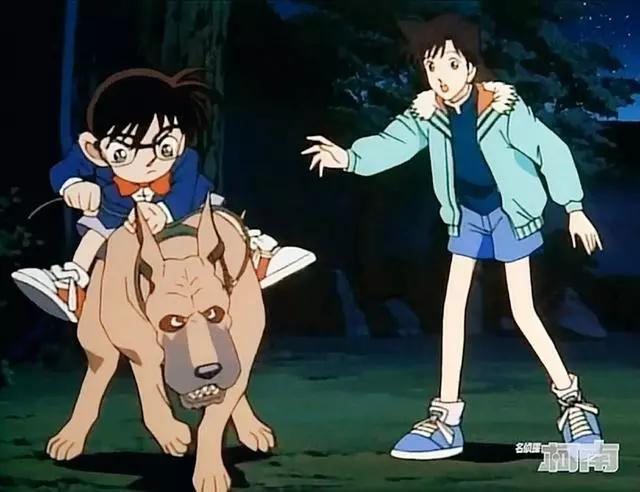 服了，看过诸多精彩表演，柯南君竟然可以和汪星人互动到当坐骑！