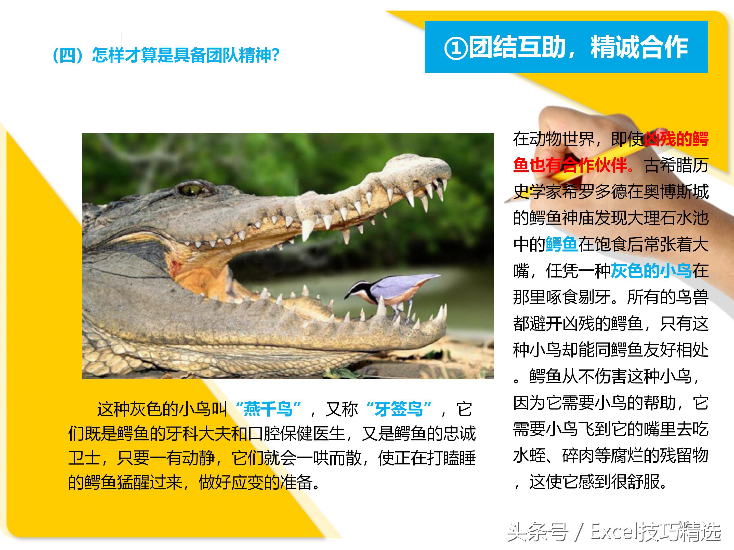 团队激励培训ppt课件,团队凝聚力培训ppt课件