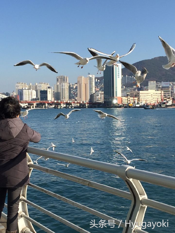 韩国人最常去的旅游景点,韩国游玩景点推荐首尔近郊