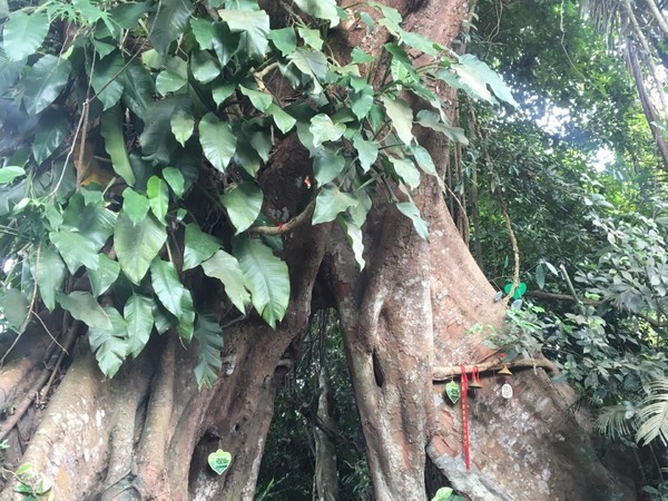 三亚的海景特别美，闺蜜自由行攻略