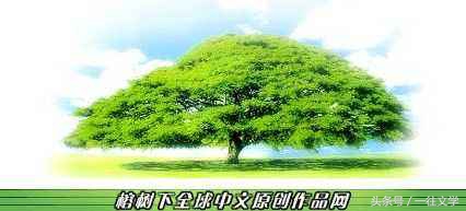 原创文学网站有哪些,国内原创文学网站