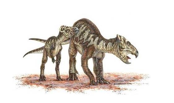 科学家发现的5种诡异生物,科学家发现奇怪的恐龙