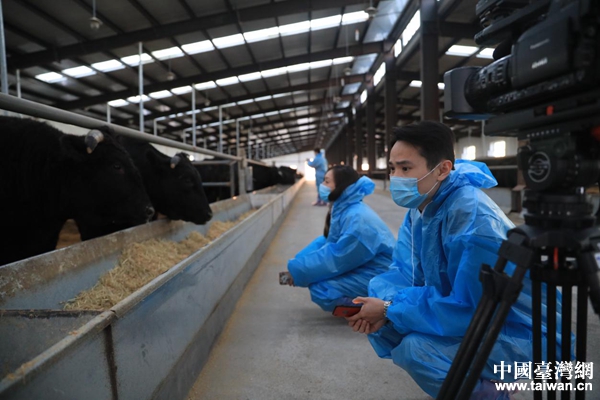 肥沃富饶的黑土台企发展现代畜牧业的乐土