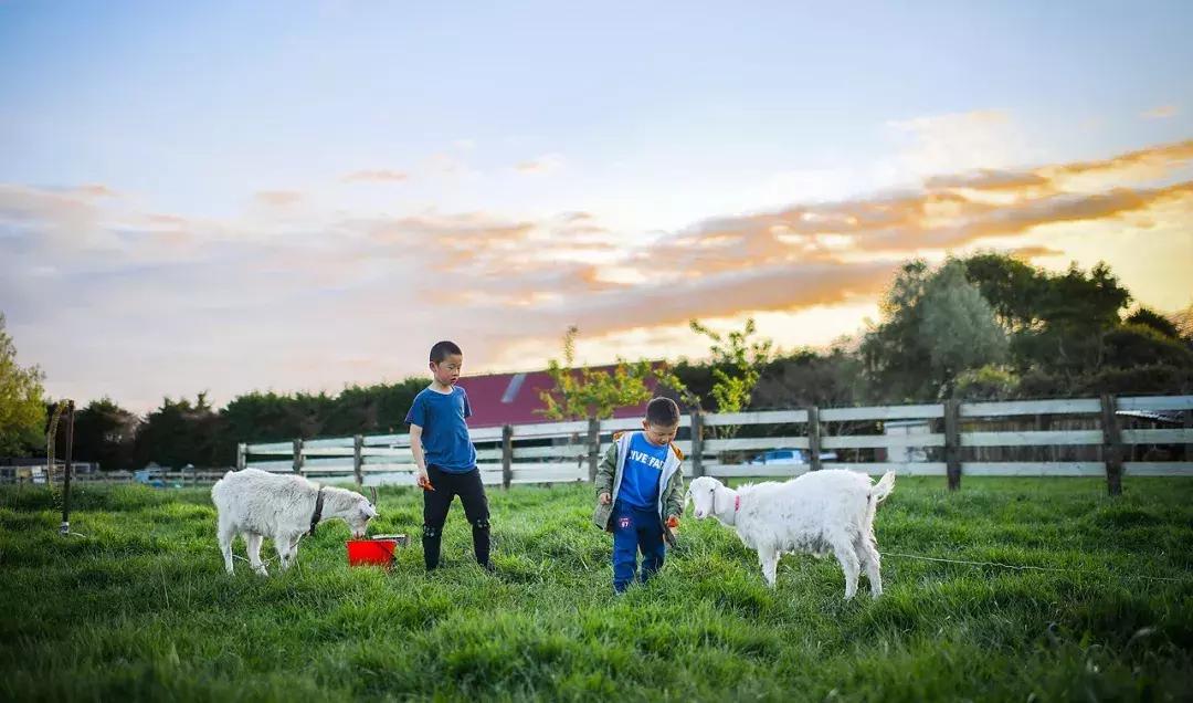 有超大草坪的庄园,大型生态农场庄园10万亩