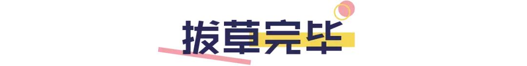 泰国热门产品排行榜,泰国网红商品到底怎么样