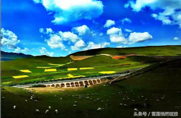 上海特产必买清单一览表,各地特产礼品一览表