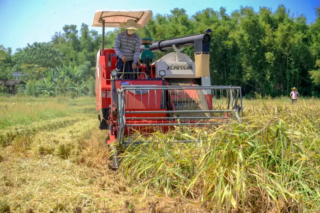 贫困户脱贫了怎么增收致富,农村脱贫致富情况
