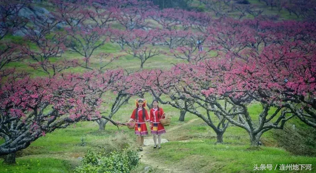 回忆连州,连州在哪里呀