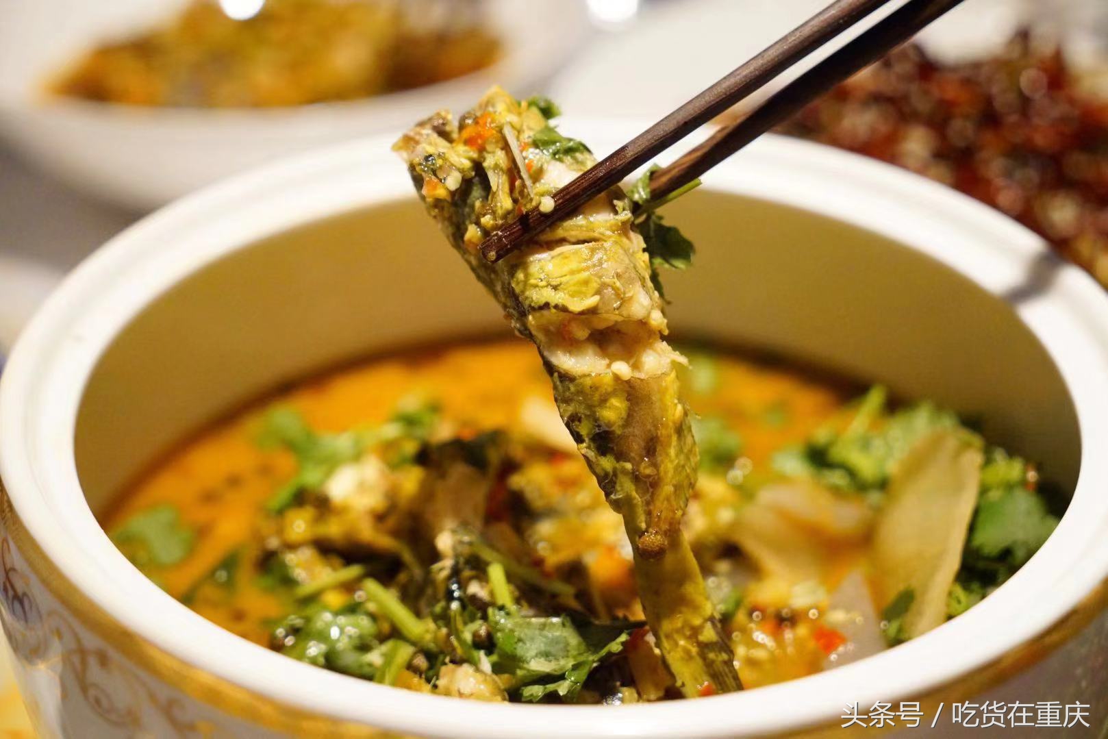 两江交汇灯光璀璨,两江交汇处的多彩风情