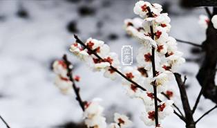 物以稀为贵，冬季牧草稀缺，养牛省草这十法更经济！