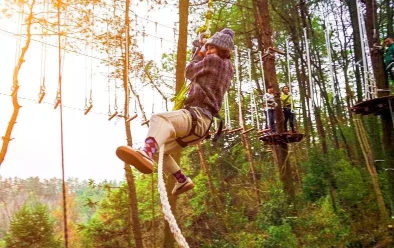 这片媲美京都的红叶之森只藏15栋梦幻树屋，杭州1.5h直达！