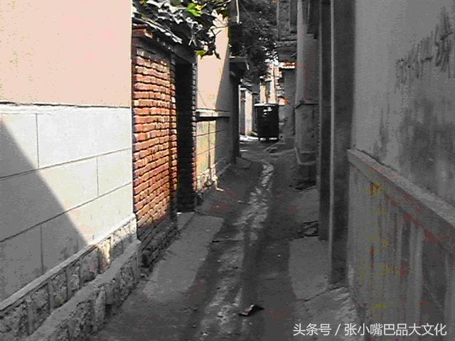 胡同深深,散文胡同