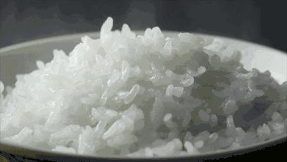 这就是长春歌曲,这里是长春