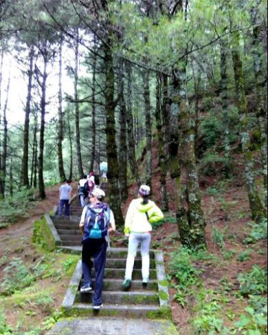 大理四景风花雪月的故事,在风花雪月的大理洱海边
